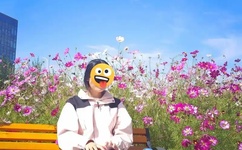 有力缓慢而坚定的进入小说